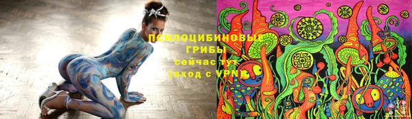 сатива Алексин