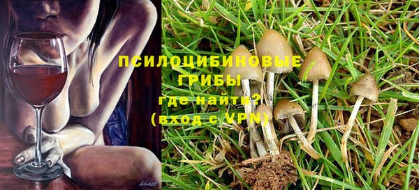 прущая мука Алзамай