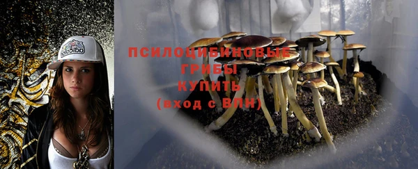 прущая мука Алзамай