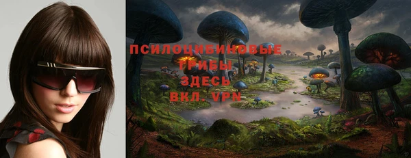 сатива Алексин