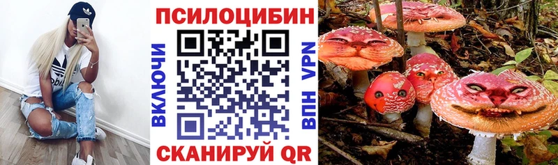 Галлюциногенные грибы GOLDEN TEACHER  Пенза 