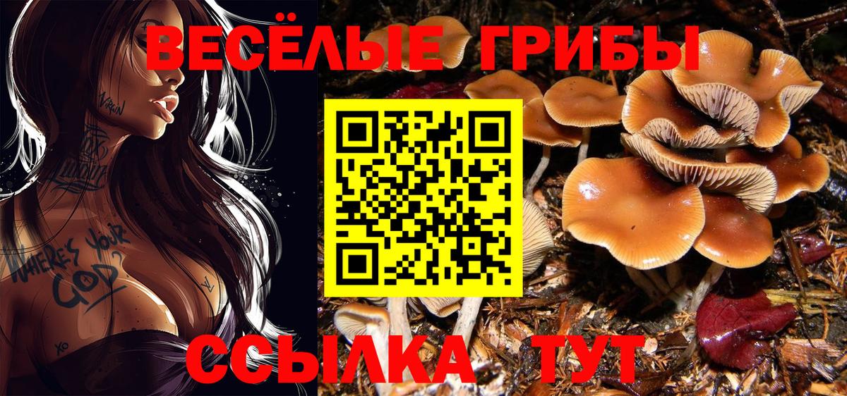 Пенза  Псилоцибиновые грибы ЛСД  Вход с VPN  Галлюциногенные грибы мицелий 
